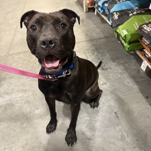 Fundraising Page: alanya jefferson